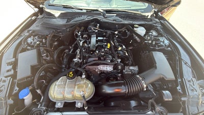 2021 Ford Mustang EcoBoost Premium Convertible