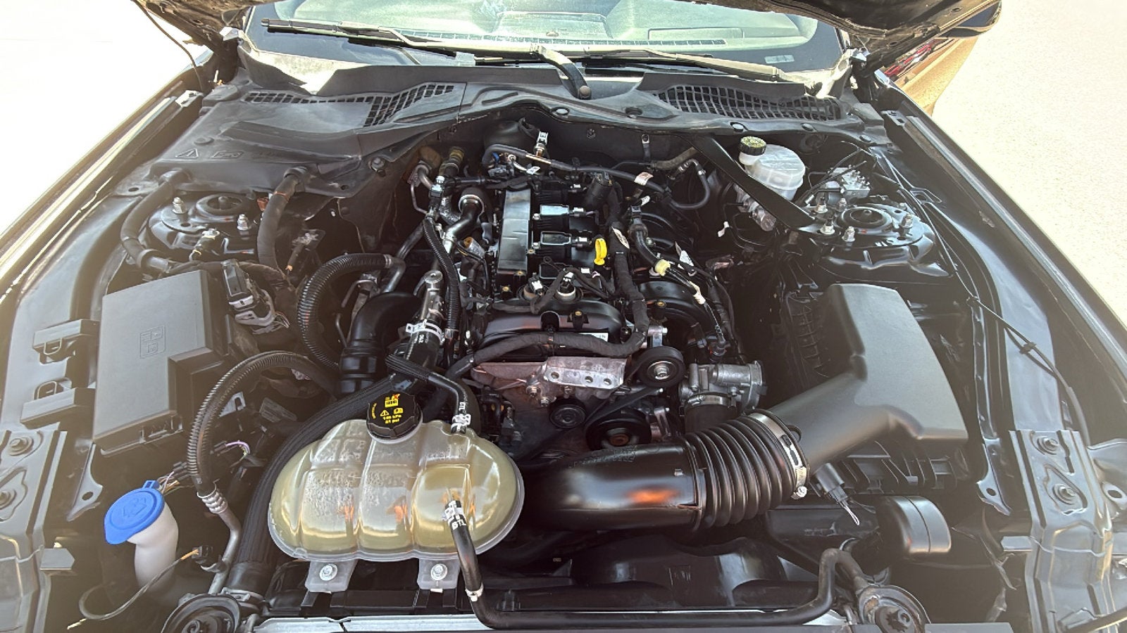 2021 Ford Mustang EcoBoost Premium Convertible