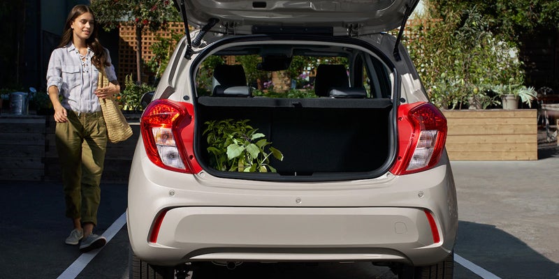 Woman placing plants in the back of a Chevrolet Spark.