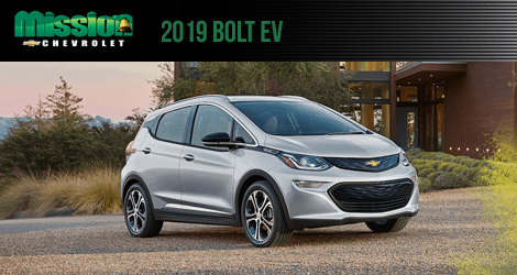 2019 chevrolet bolt ev