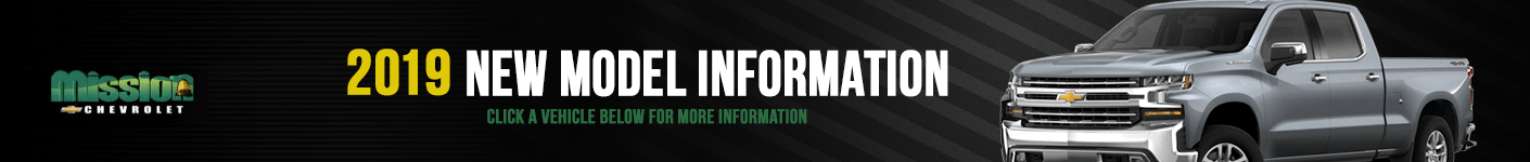 2019 new model information